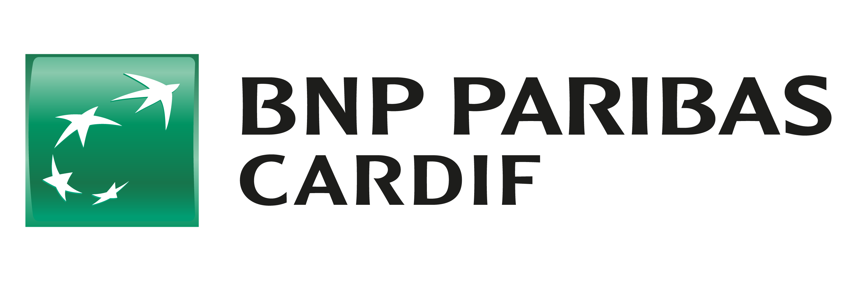 Logo_BPN Cardif